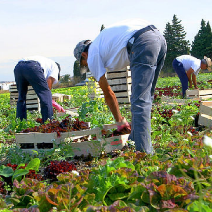 Les Jardins du Doubs